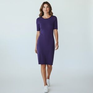 Saint Tropez Purple Short Sleeve Velvet Bead Trim High Neckline Sweater Dress M